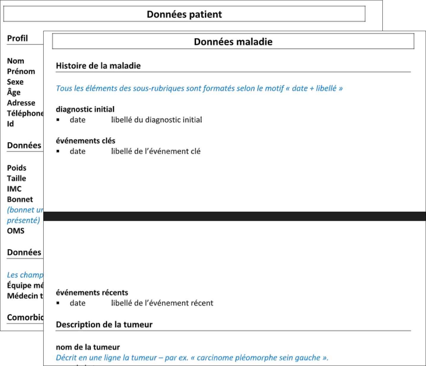 data model, Miscrosot Word screenshots